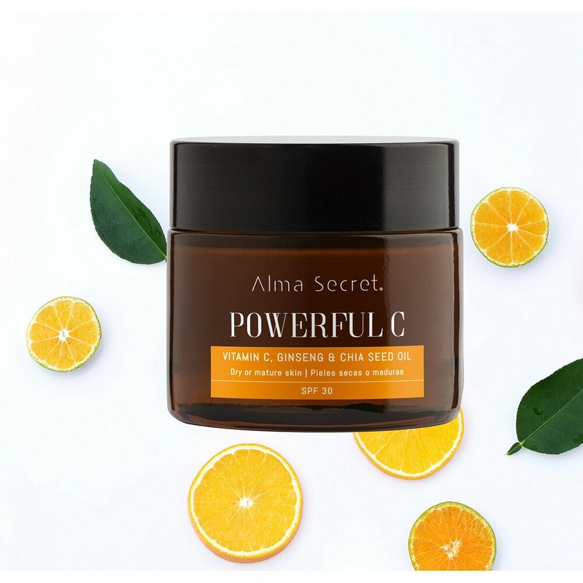 V10H8ADCF282DEDCEE6CCAD2C204F239E099R3244676P1