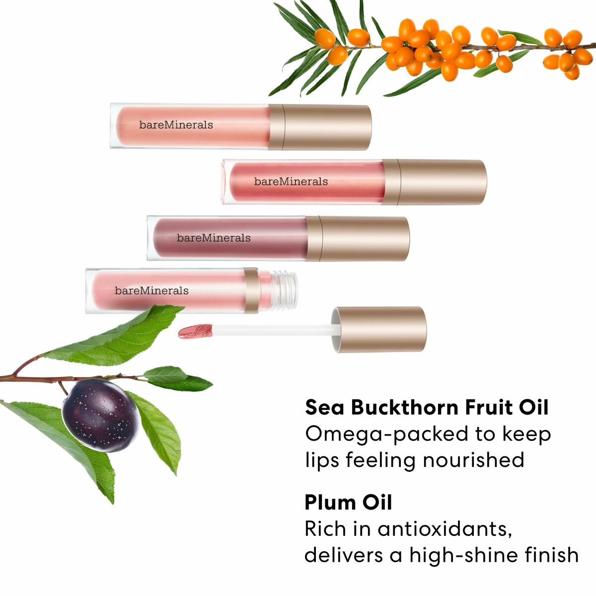 V2HFF86D7AFA50AB24FED2F43C424F71933R7127521P3