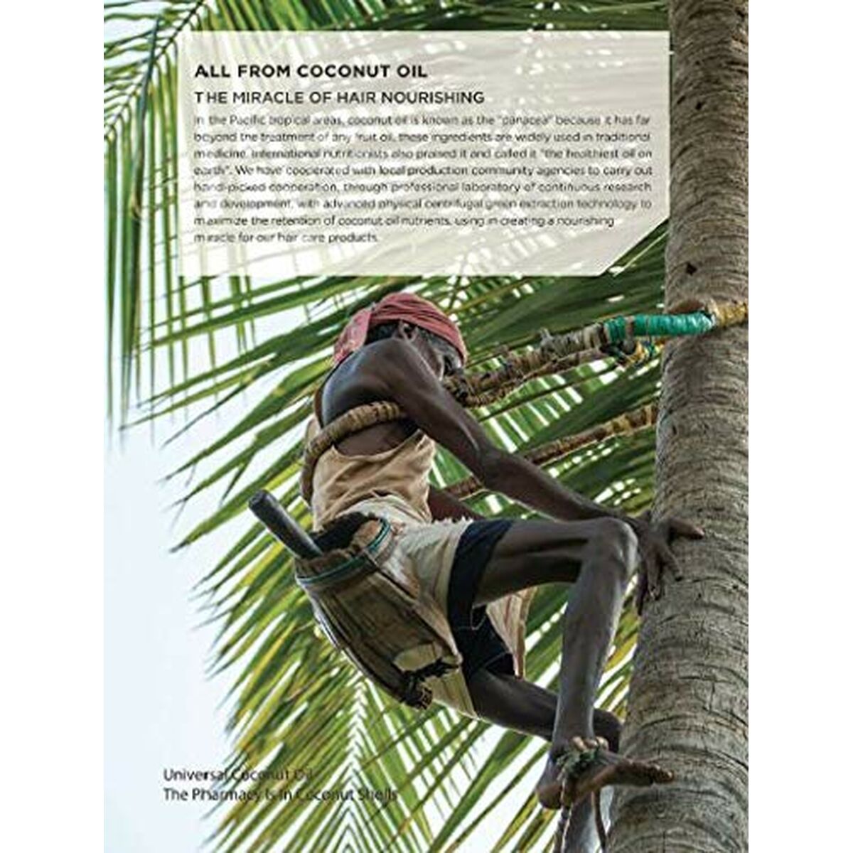 V2HE616E1B663CA9950BB43C7A8026ECE37R6713932P5