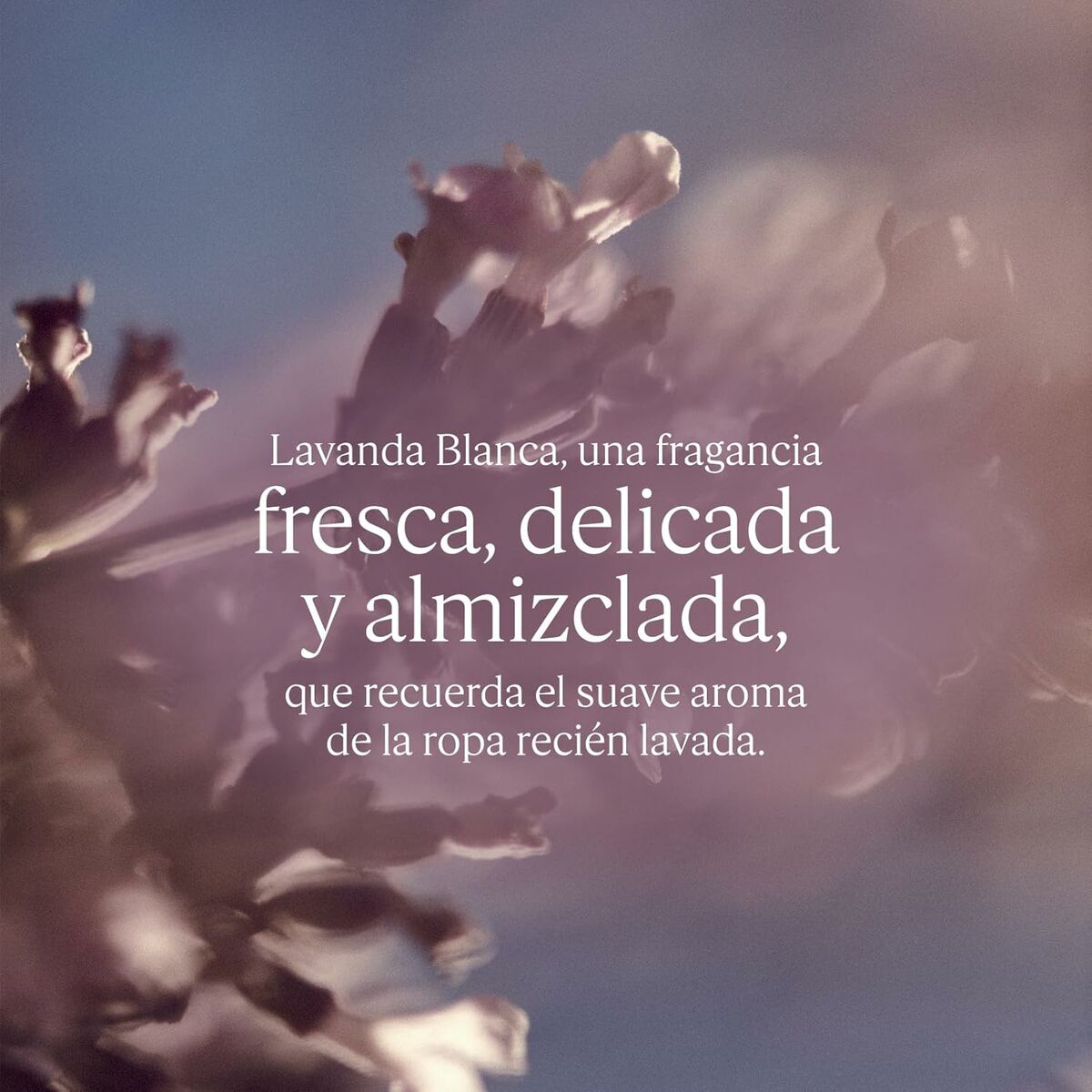 V2H49CFC5C5108CB9CEBB5692DCB852338FR7111386P5