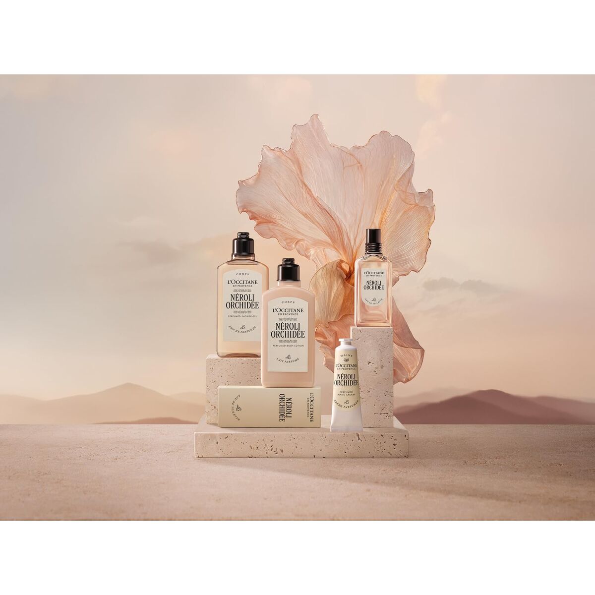 V2H412FABF7F0447E51B149EDBBA7798E9FR7407105P3