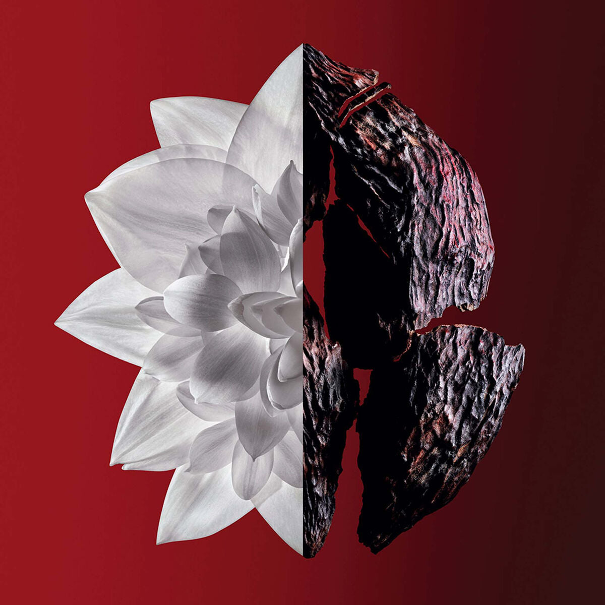 V4HFC5BB530DCFFEC225605BC1D62A14F7ER5306328P2