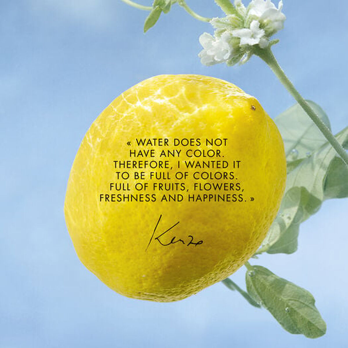 V3H67139E7395846C3EED38E31BC48749E3R6237859P2