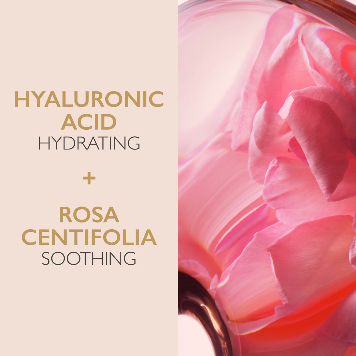 V3H139459385DAE27B55E09A73A22EED401R6241965P6