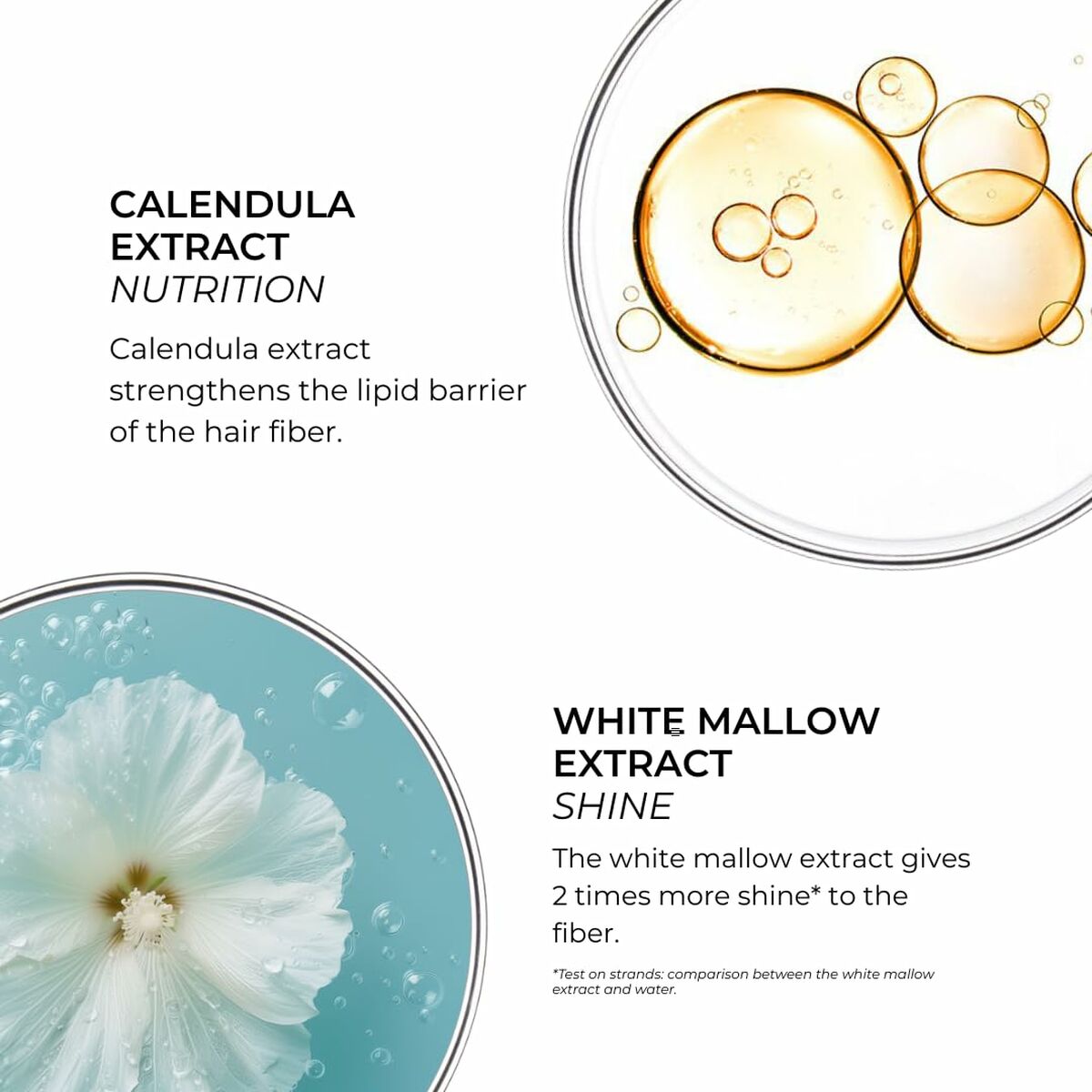 V3H509151EA4280BB80D35E1DF7B5672A6FR6237882P2