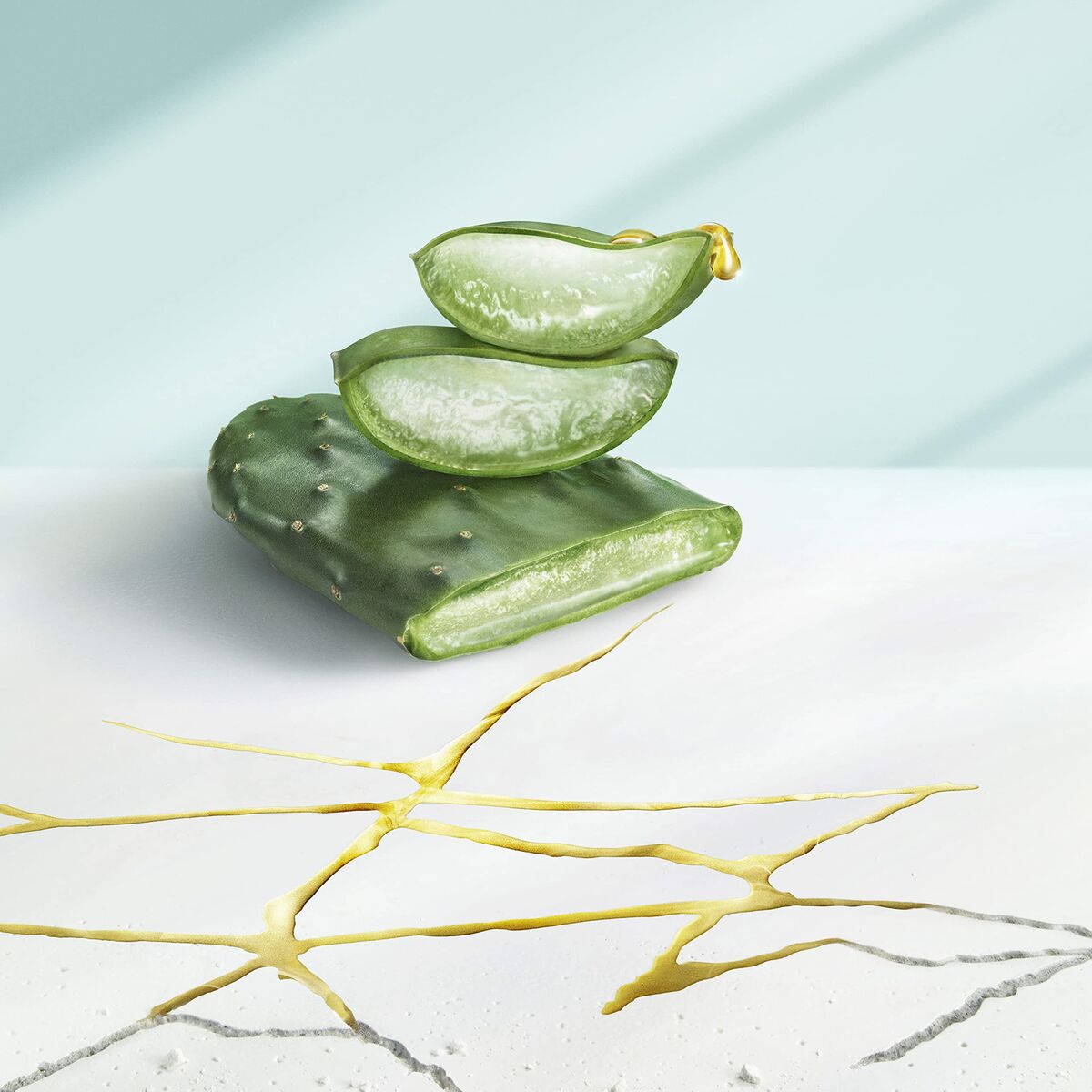 V6HEAAD25BC8D848DBFC018CCFBE84140E3R3757084P2